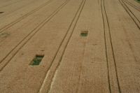 Sommerfest Baumberge 2010.1 607